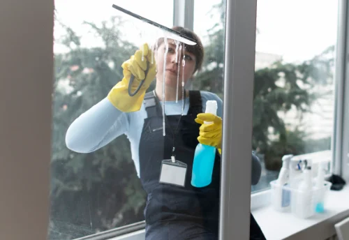 Nettoyage de vitres intérieures et extérieures à Grézet-Cavagnan
